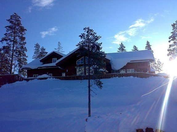 Flott Utleiehytte Pa Gautefall Treungen Exterior foto
